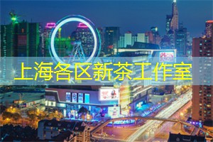 领略上海论坛风采：影响城市发展的关键因素是什么？