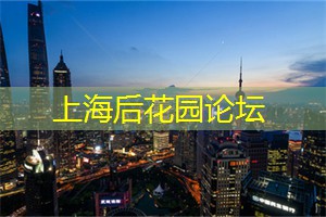 带上相机参加上海茶艺摄影大赛，用镜头纪录品茶美景！