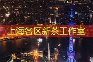 上海论坛第一手消息：城市发展的未来将怎样变革？