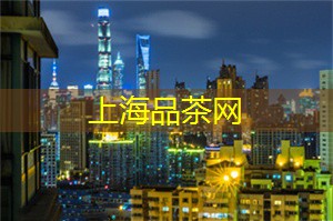 独特夜上海摄影之旅：一枚相机带你留住城市灵魂