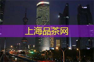 必须尝试！上海新茶工作室的创新品茗方式令人惊叹！