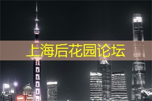 上海的冬季活动：滑雪与冰雕