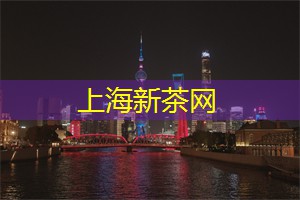 洒落的梦想与夜色中的勇气 洒落的梦想与夜色中的勇气