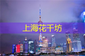 夜游魔都，打卡最美的江边风景